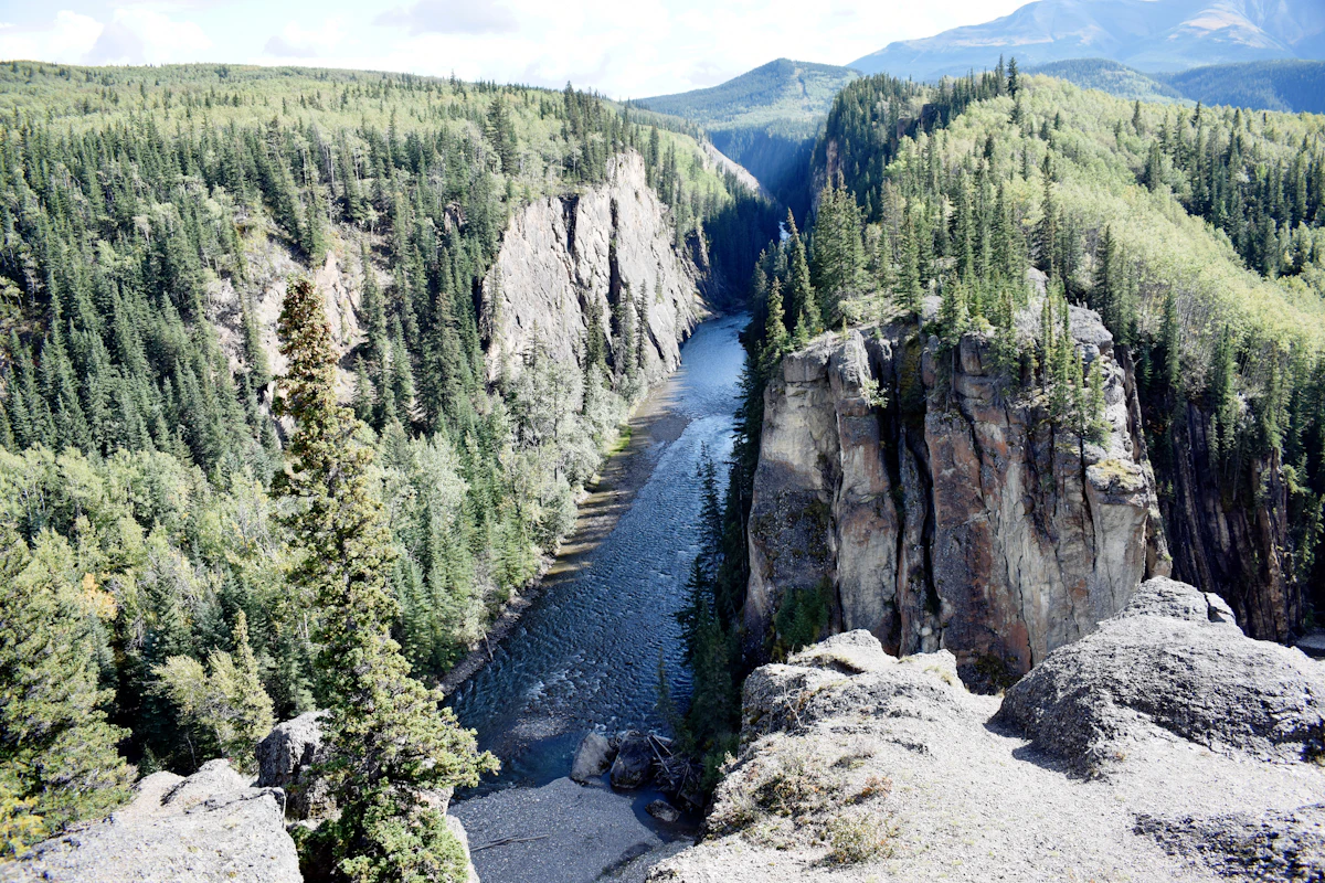 A river running through a rock-walled canyon in spruce forest near Grande Cache