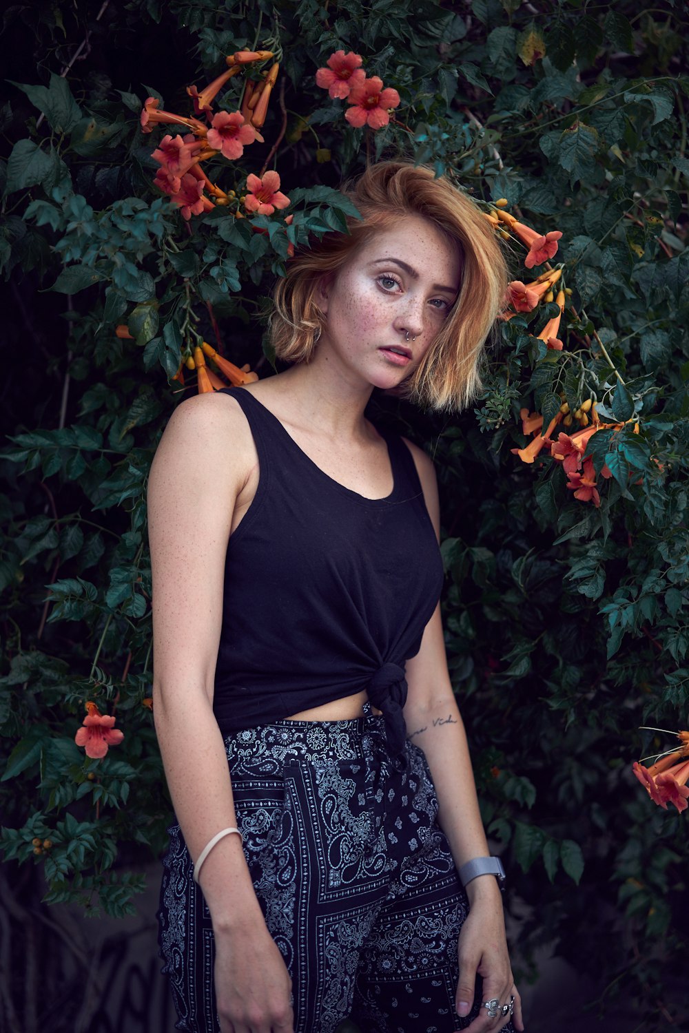 woman taking photo near red petaled flowers