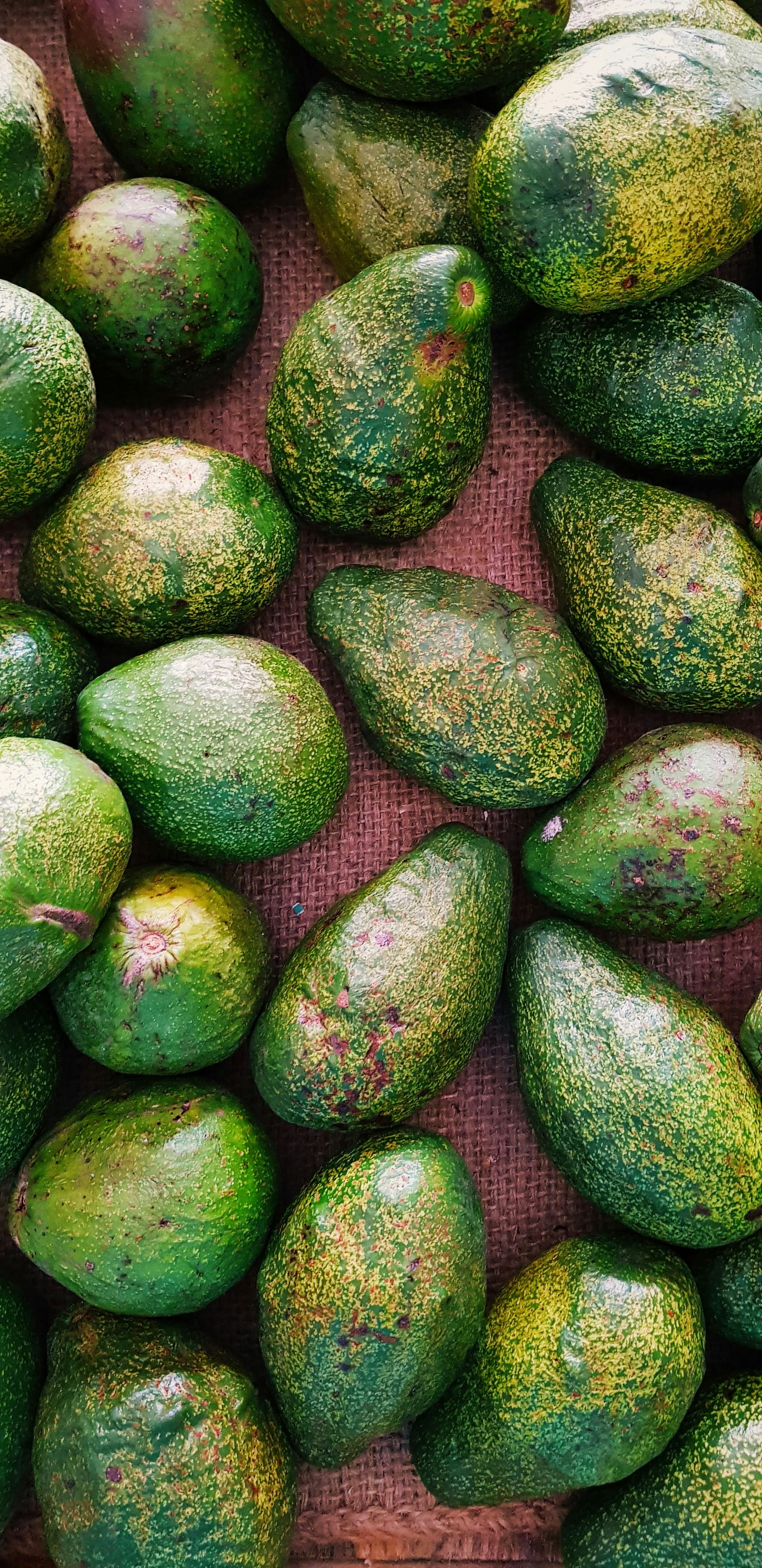 Frutos frescos de Jalacingo