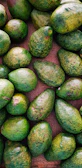 Close-up of ripe Hass avocados arranged artfully on a rustic wooden table.