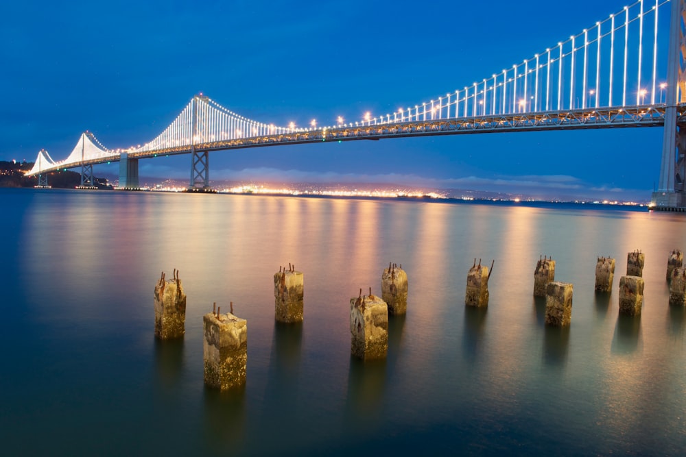 Pilas de mar marrón bajo el puente blanco