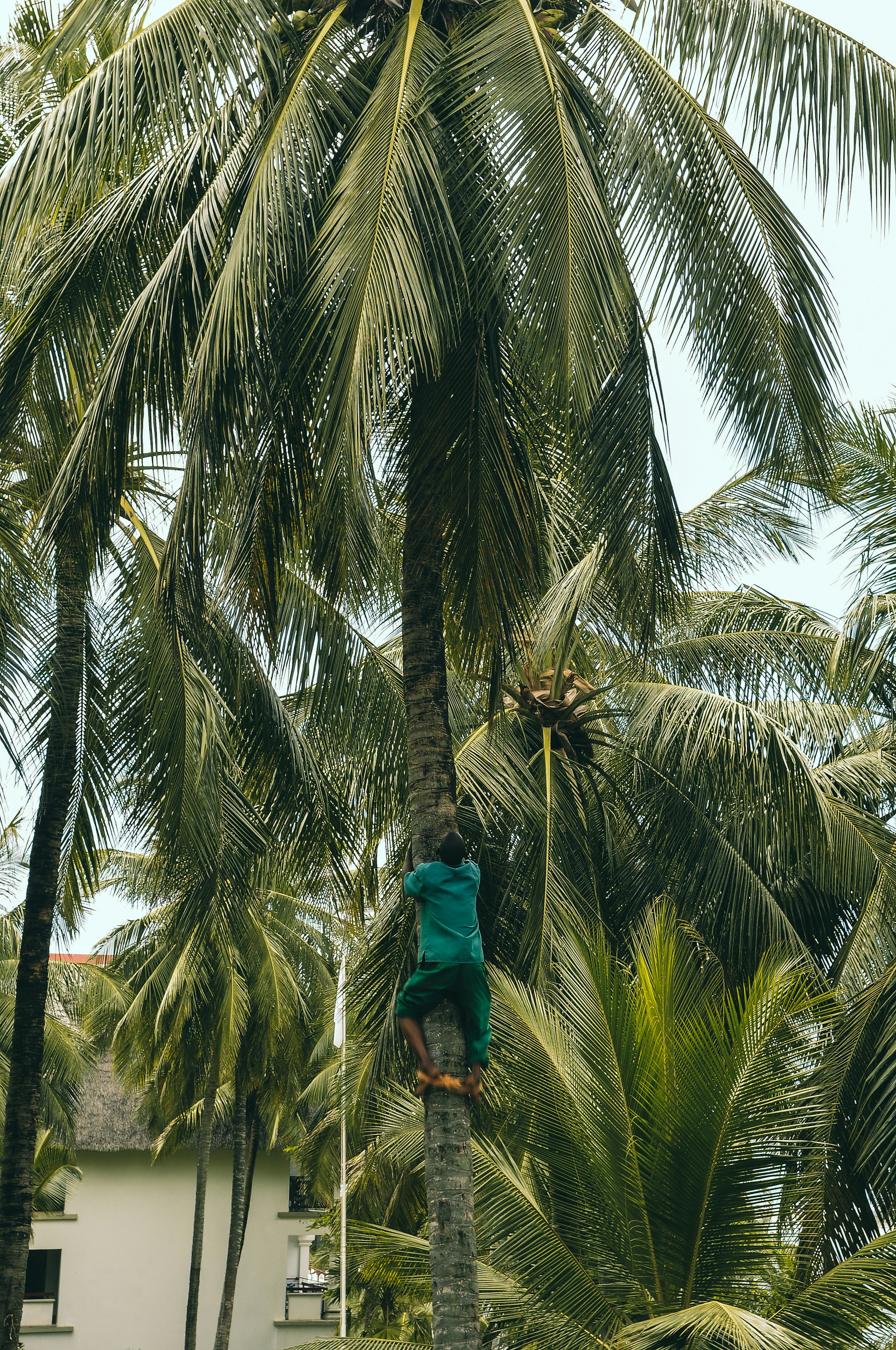 black and white bed linen