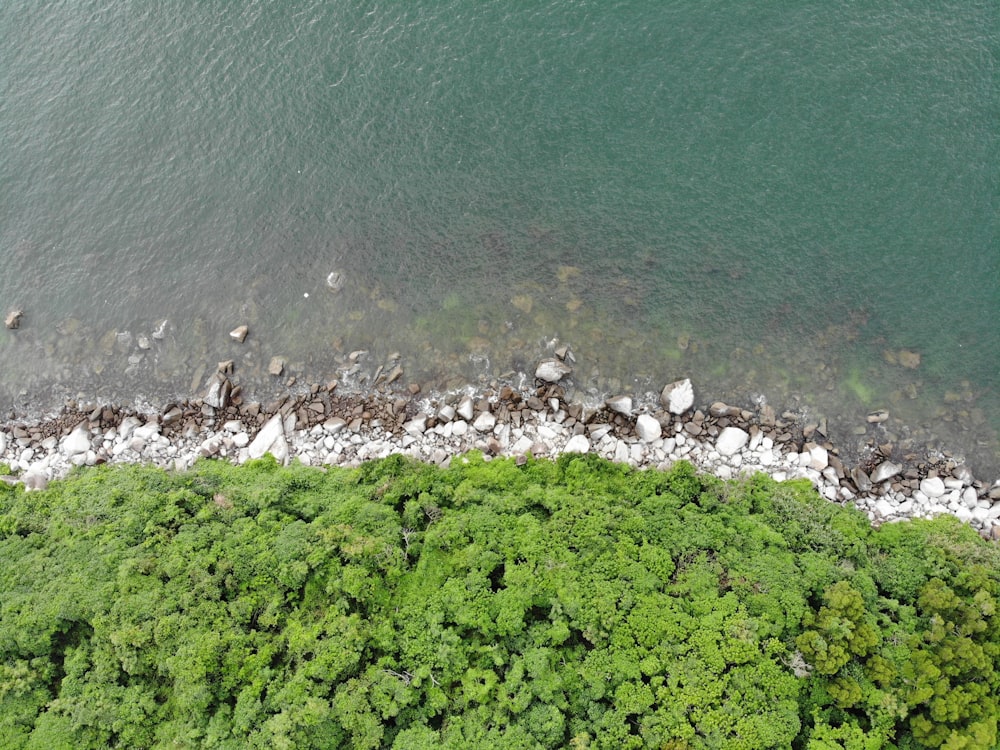 aerial photo of body of water