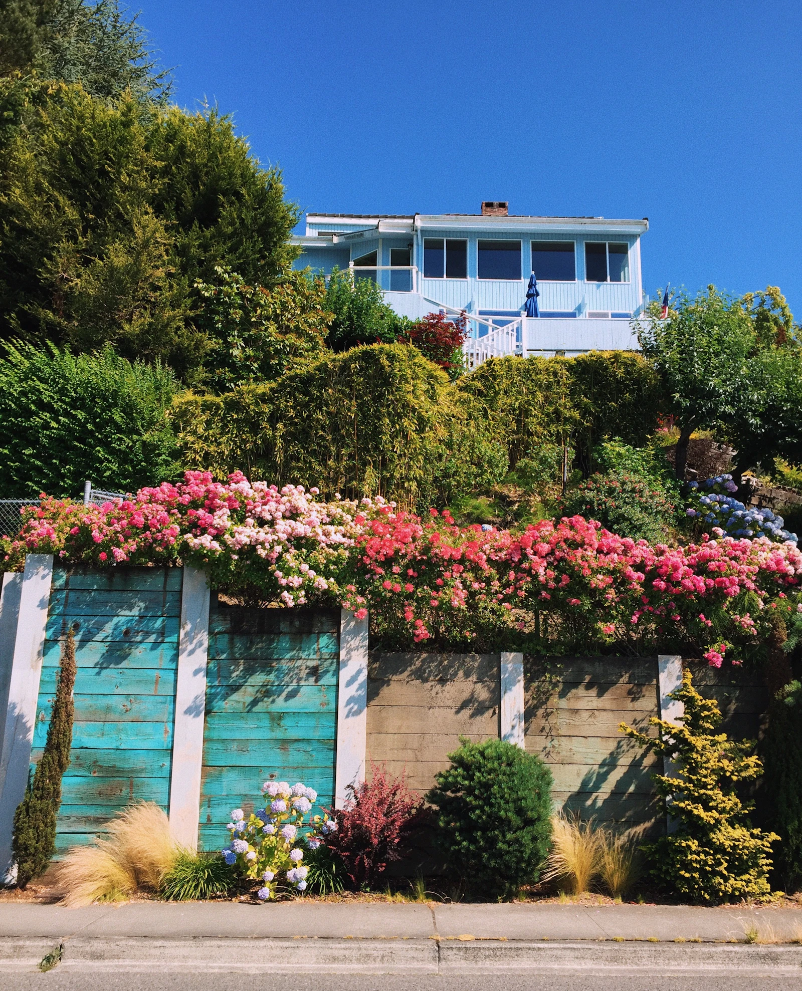 Hillside home perched above a teal wooden fence and retaining wall overflowing with pink roses on a sunny day