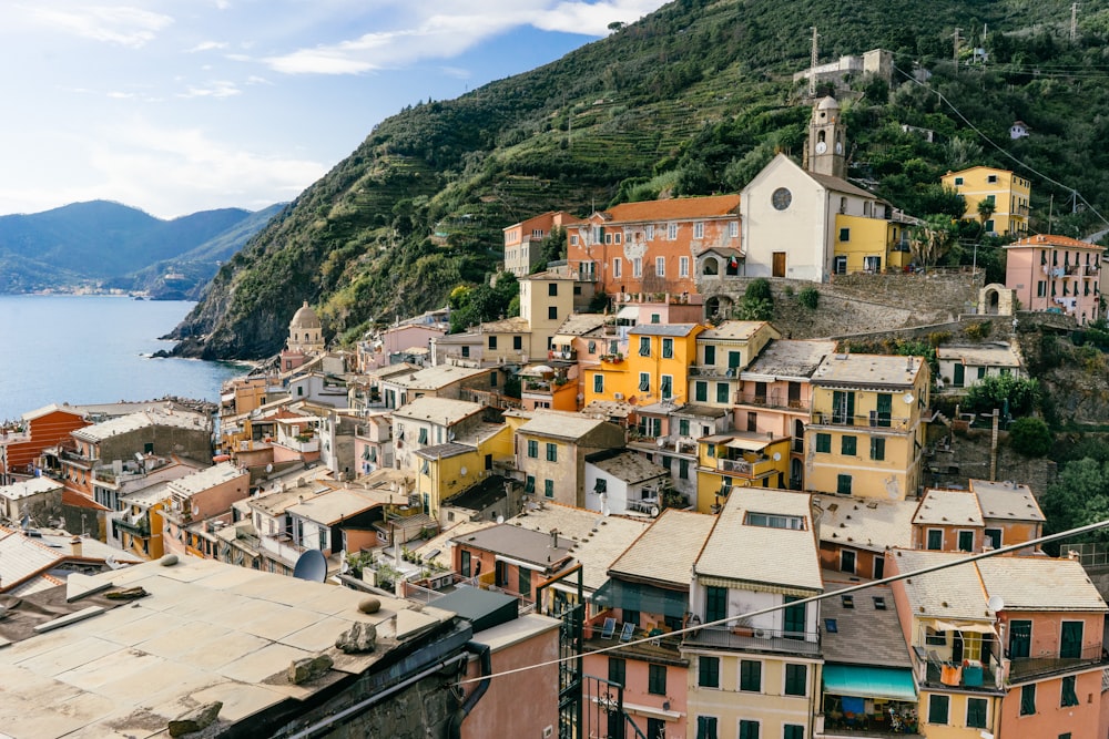 houses on hill beside body of water