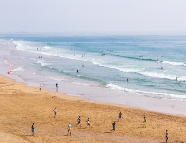 group of people on shore during daytime