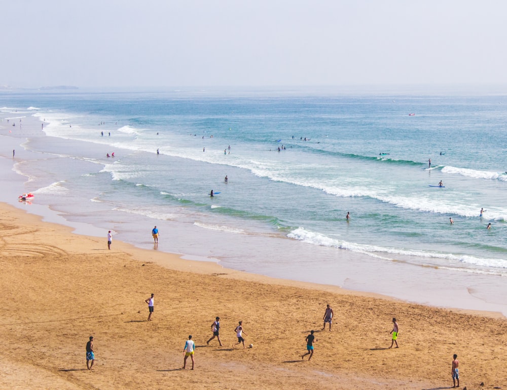 group of people on shore during daytime