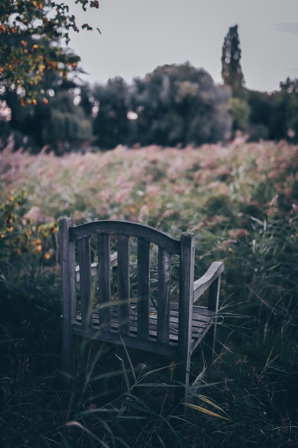선택적 초점 사진에서 잔디에 갈색 나무 의자