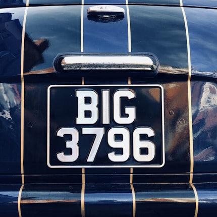 A close-up view of a vehicle's license plate displaying the text 'BIG 3796' against a dark, reflective surface with vertical gold stripes. The surrounding surface appears glossy and metallic.