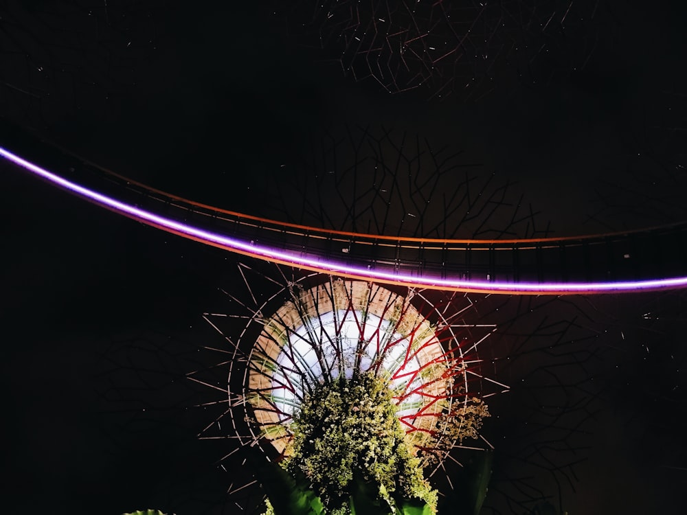 a view of a ferris wheel from below at night
