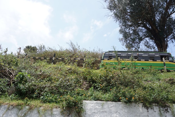 A licensed Green Destinations driver greeting smiling parents as children board the bus.