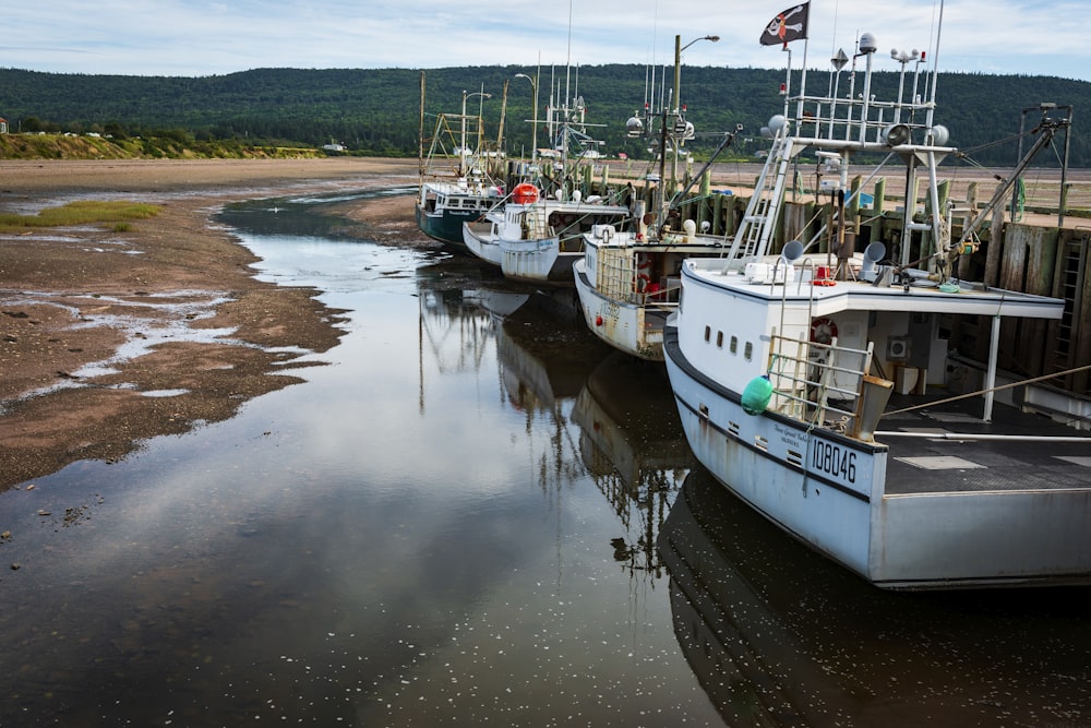 four white fishing vessels