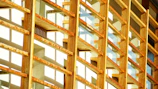 Close-up of expertly installed timber framing with natural wood tones glowing in soft light.