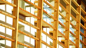 Close-up of expertly installed timber framing with natural wood tones glowing in soft light.