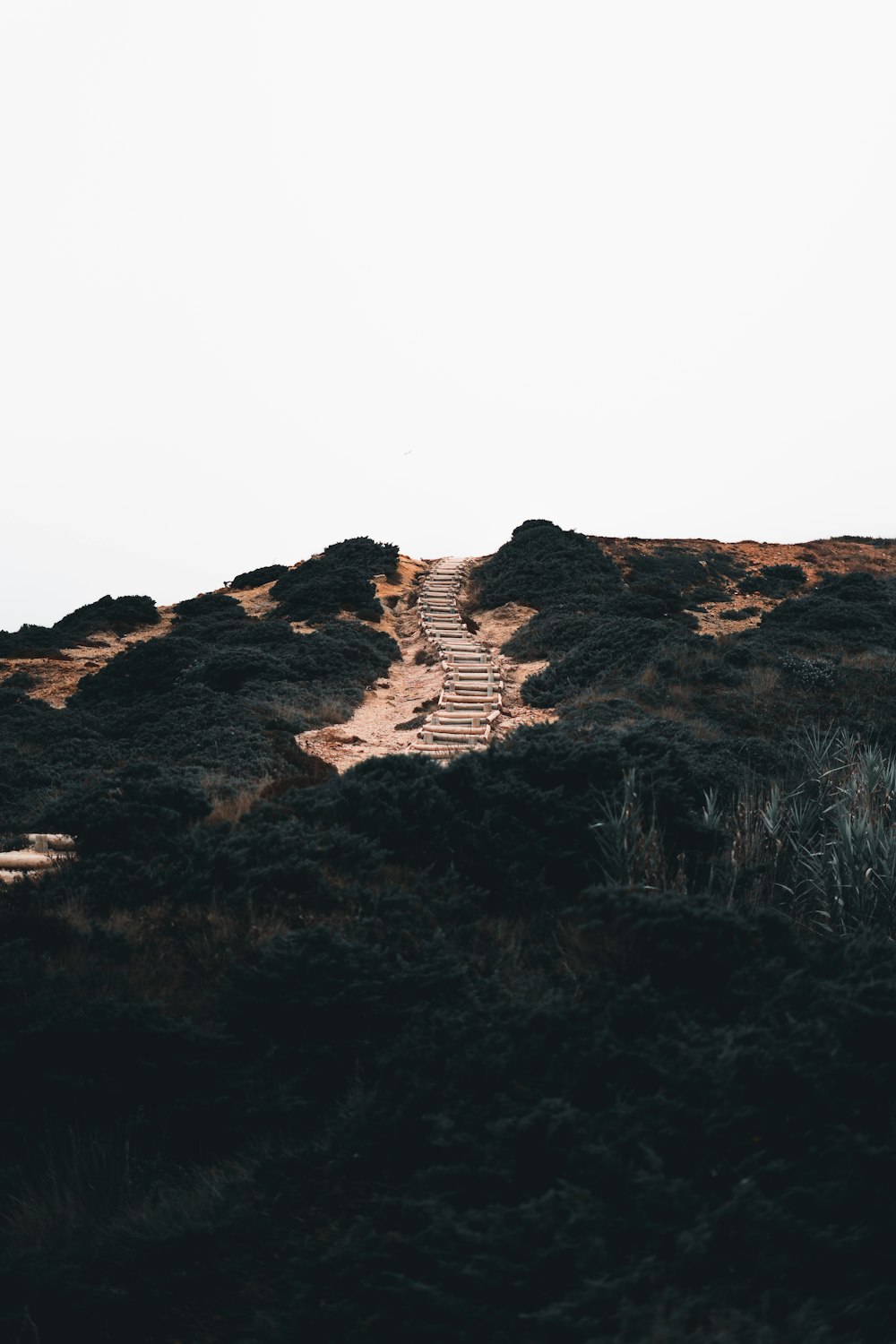 green and brown mountain with stair at daytime