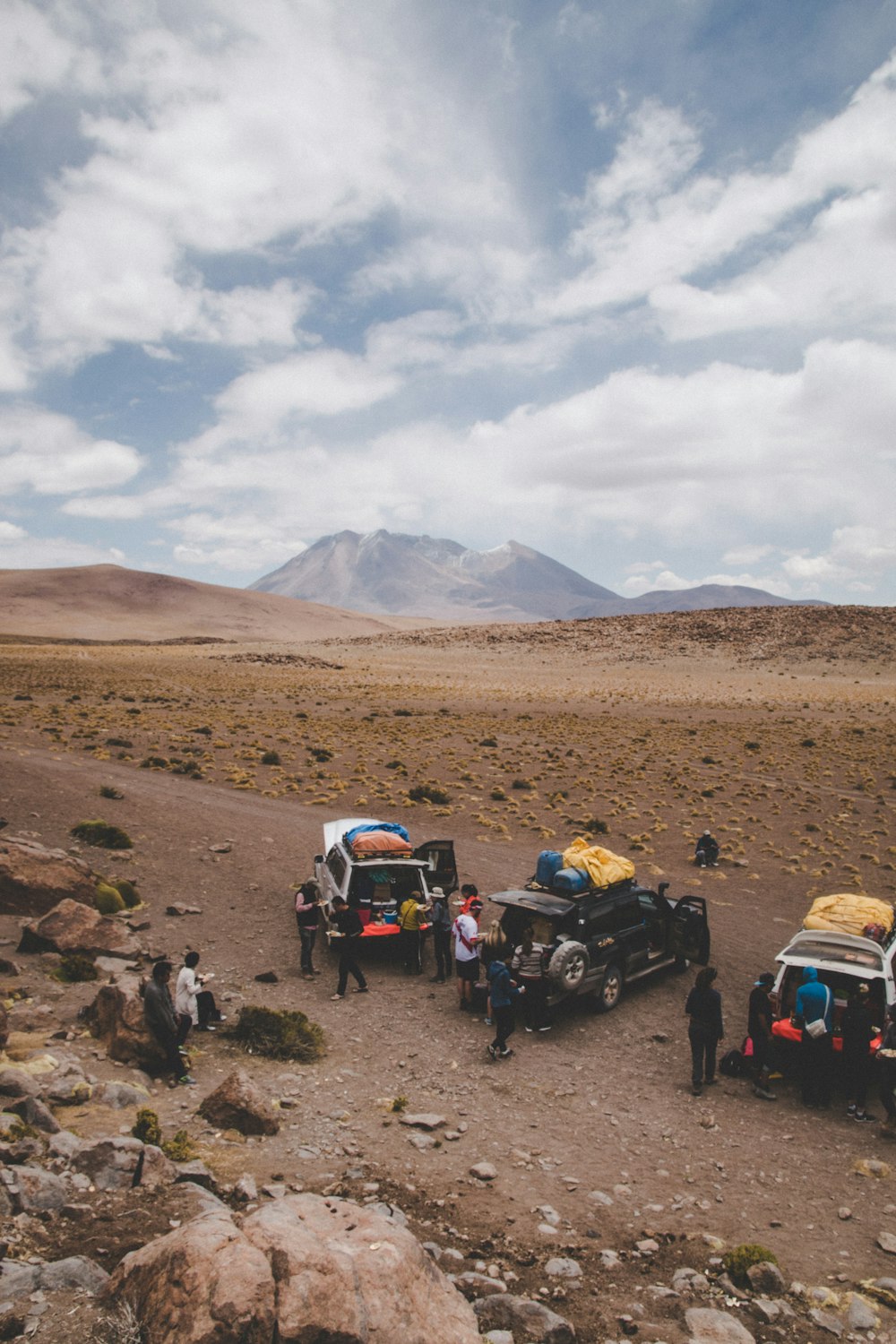 group of people standing near SUVs