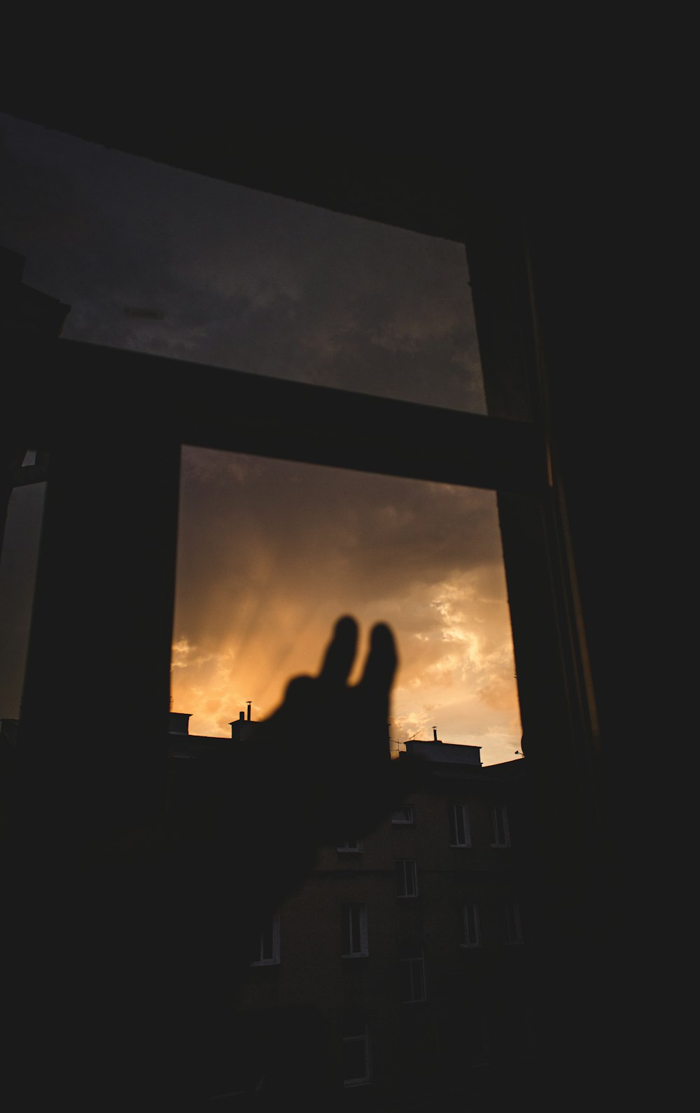 silhouette of person's hand near window