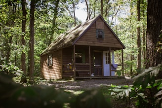 brown wooden house near trees during daytime