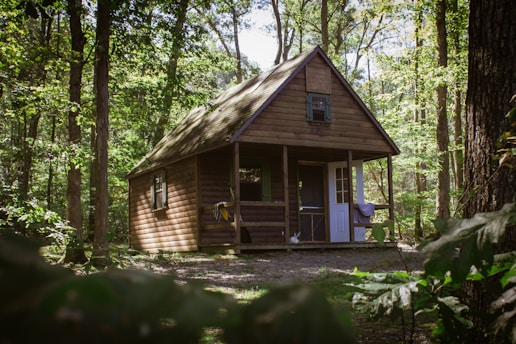 brown wooden house near trees during daytime