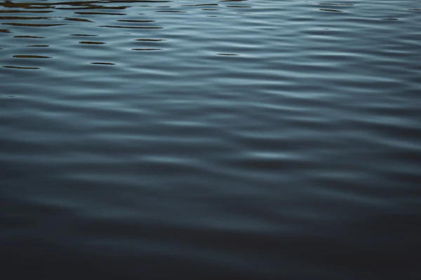穏やかな湖面
