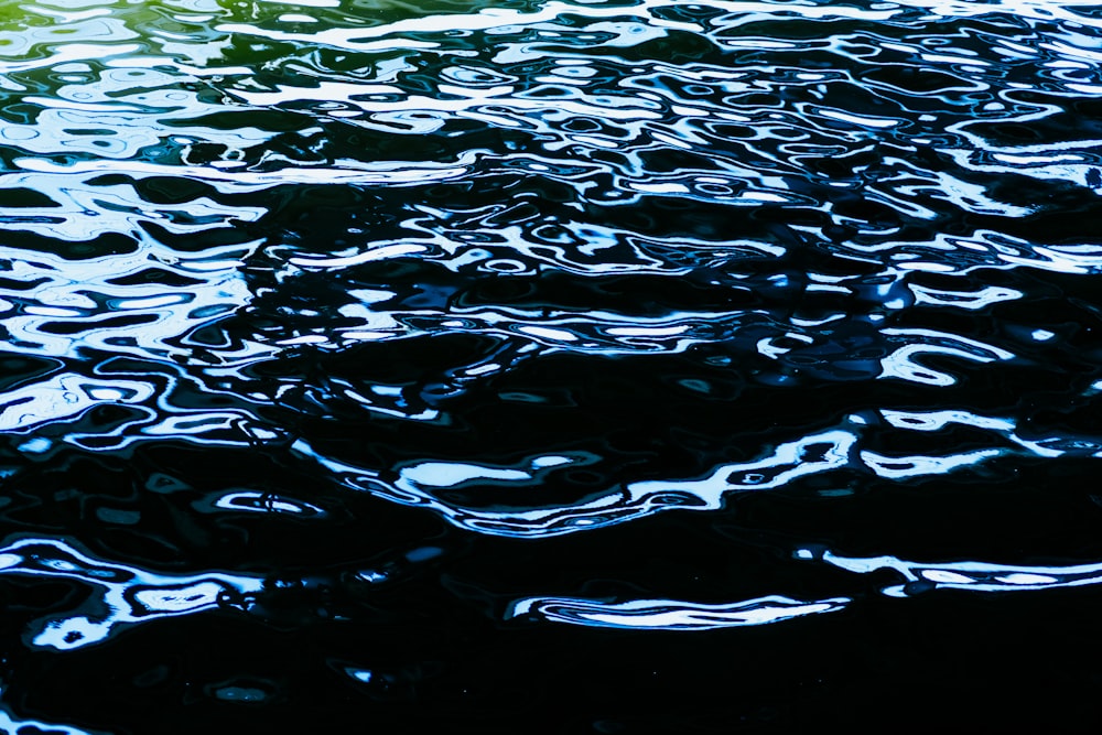 close-up photography of body of water