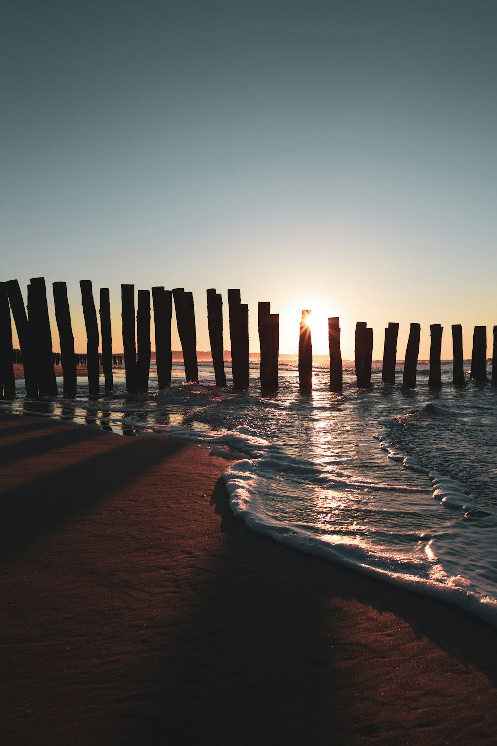 log fence during golden hour