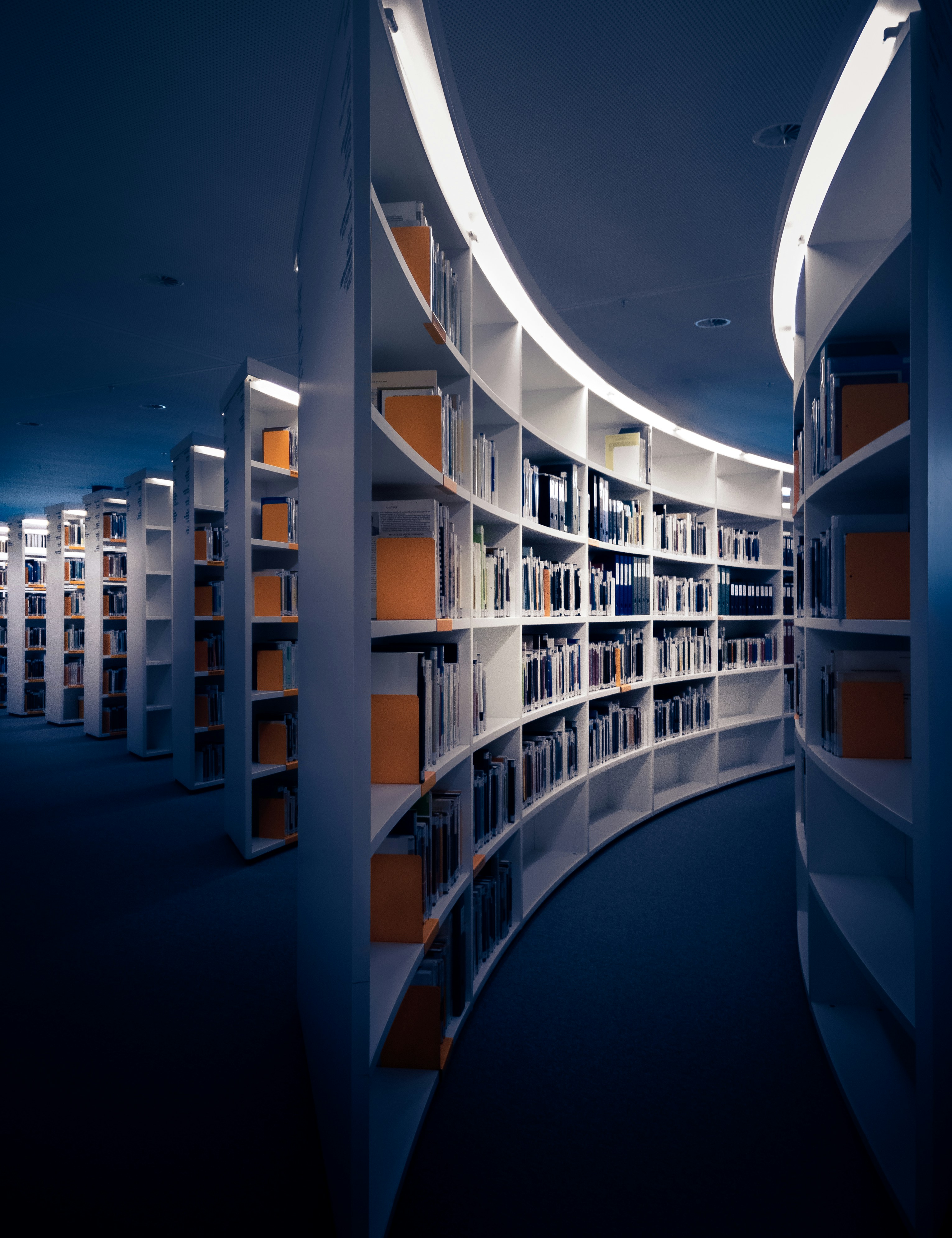 Mahasiswa di Perpustakaan