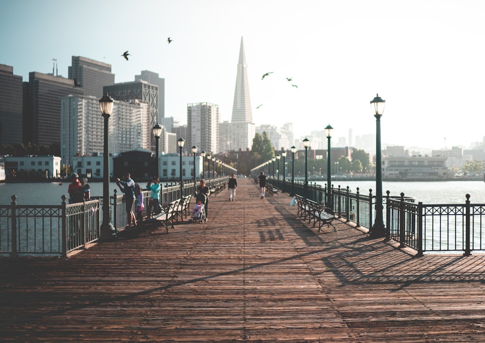 brown wooden dock