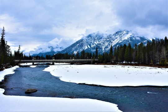 landscape photography of snowy mountain in Bow River Avenue Canada