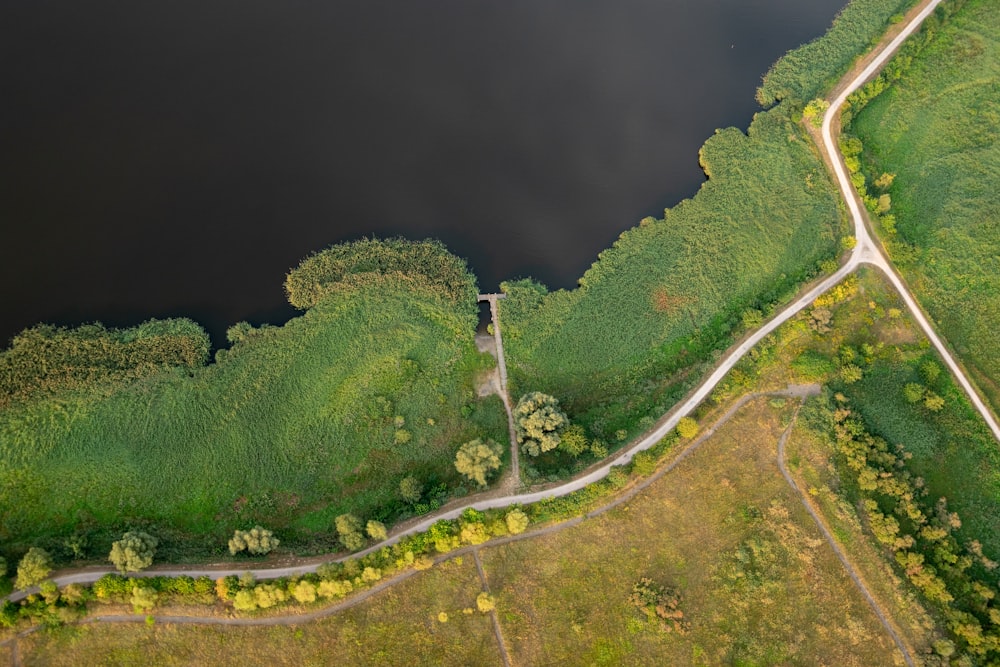 Fotografía aérea de una carretera rodeada de árboles cerca de un cuerpo de agua