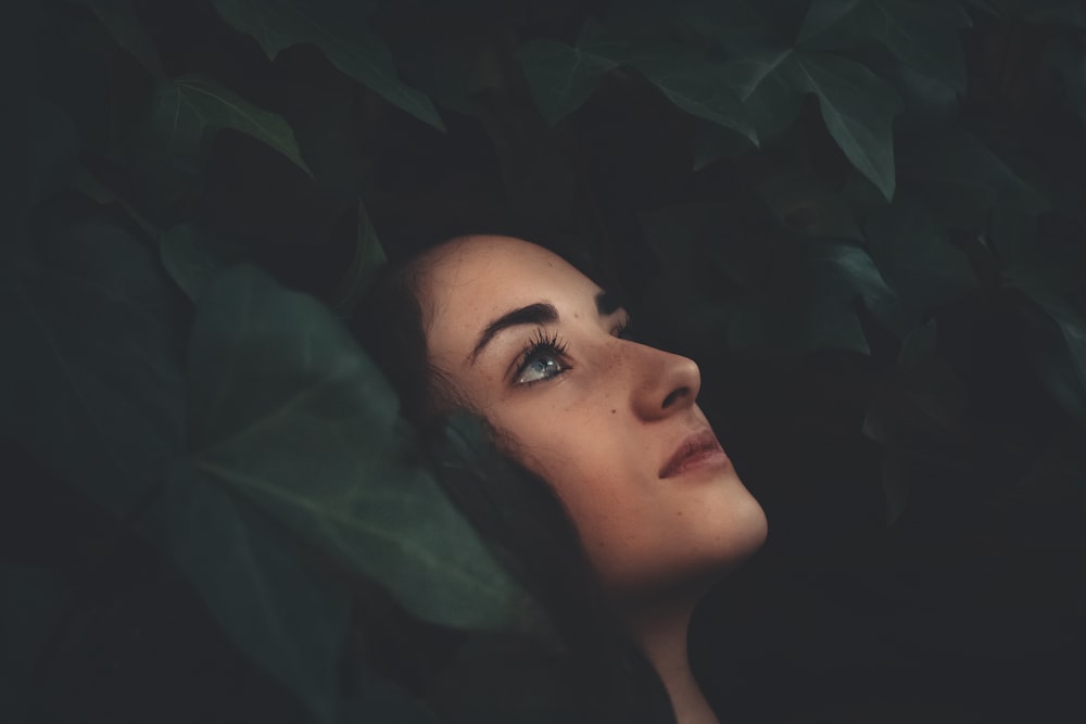 closeup photography of woman's face