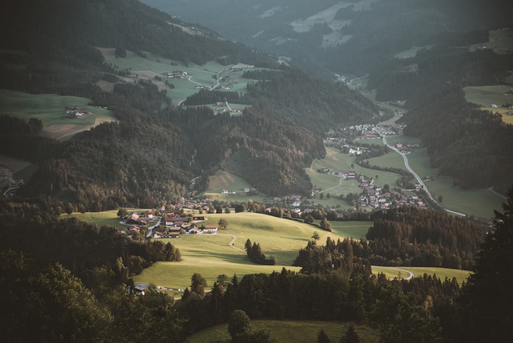 Montagnes et forêt