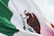 flag of Mexico