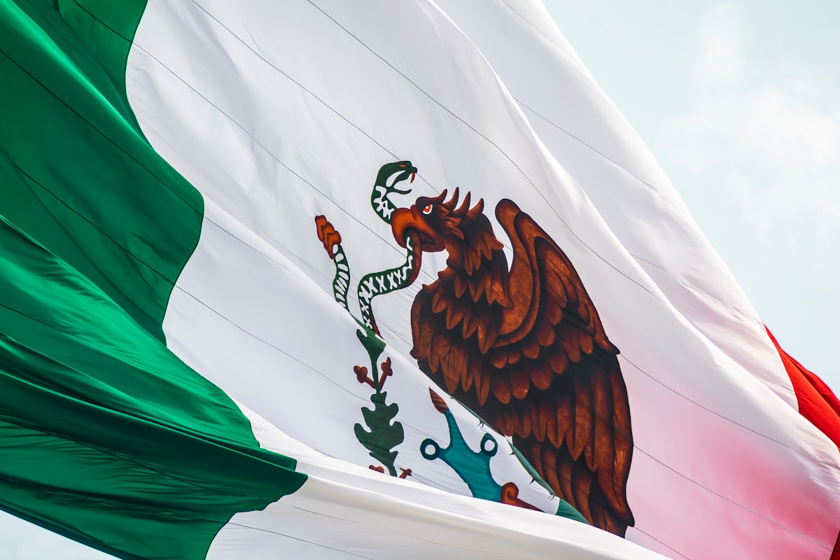 In 5 years Mexico could have a digital identity card