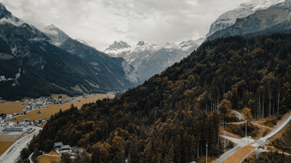 mountain and trees