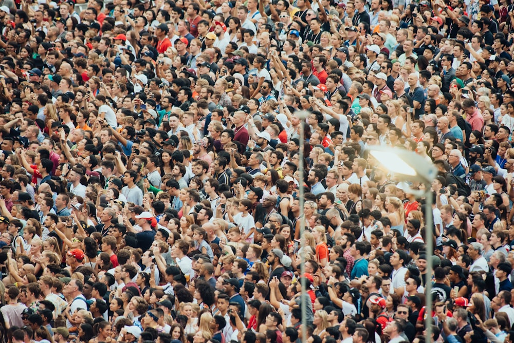 people raising hand in field