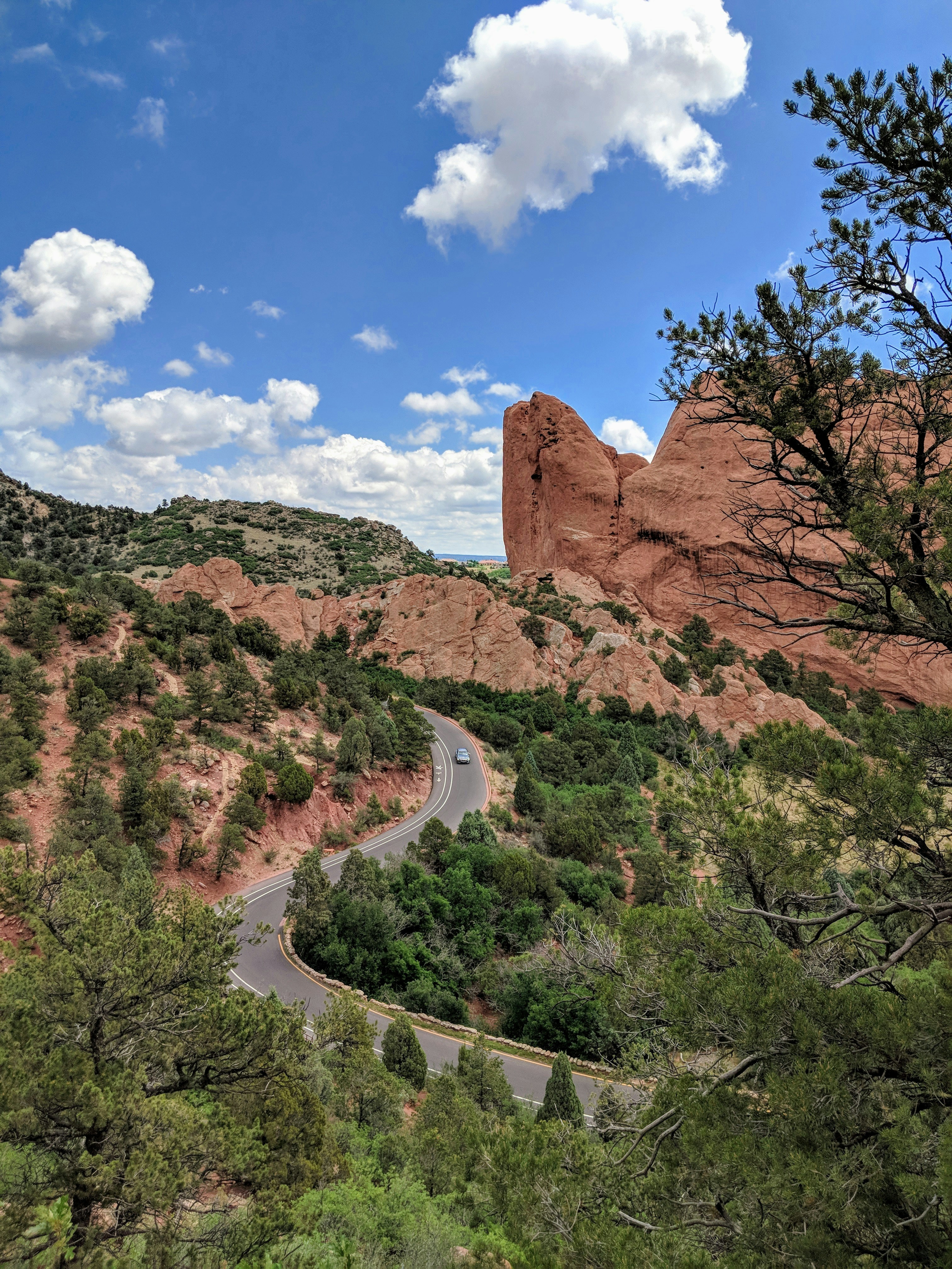 Photo by davisbednorz