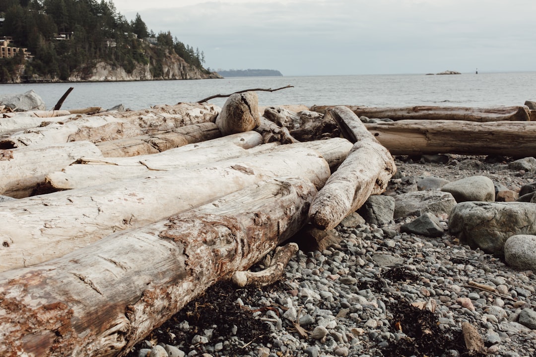 Shore photo spot Whytecliff Park | West Vancouver Wreck Beach