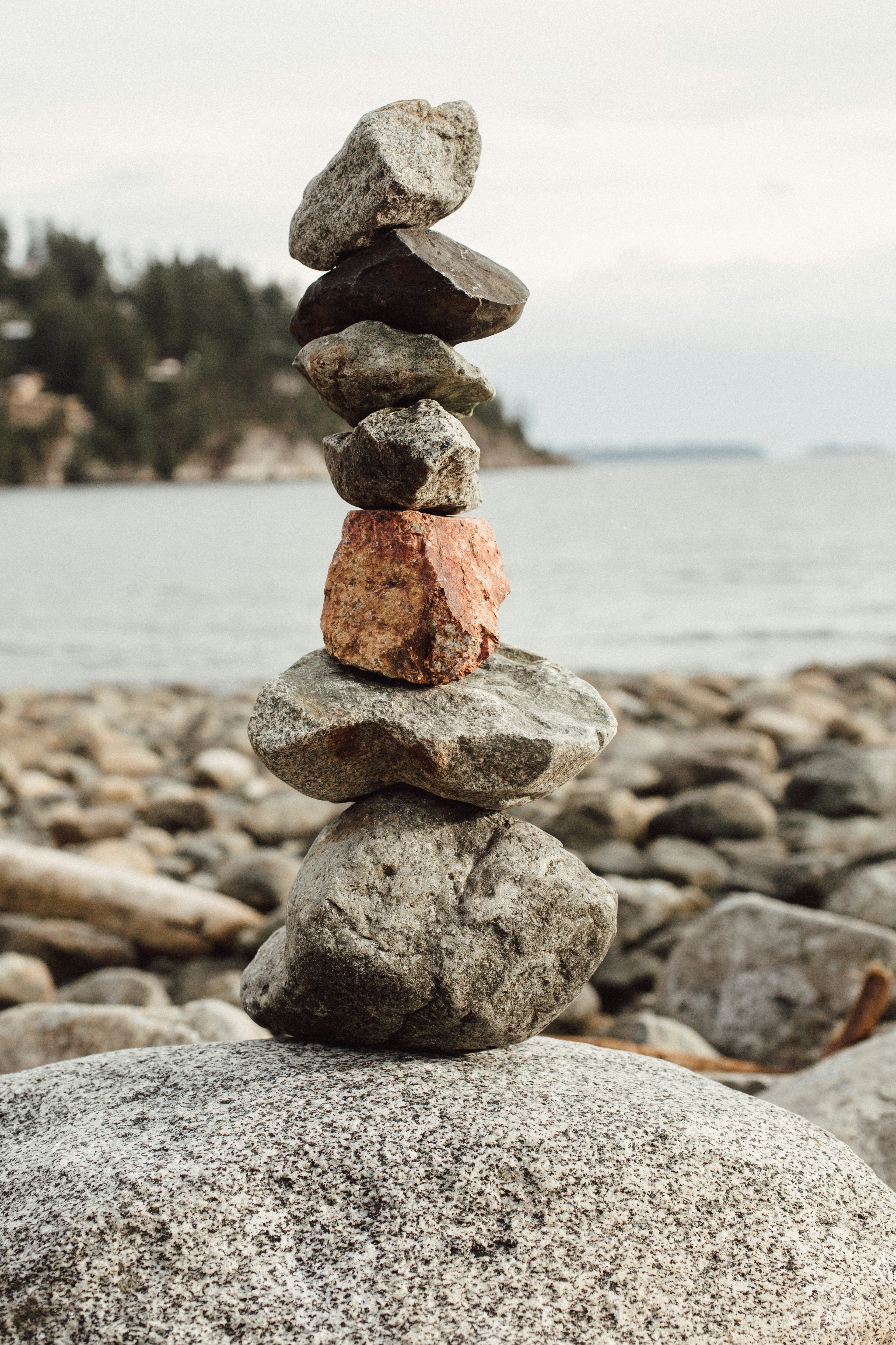 Photo by natureuninterrupted1