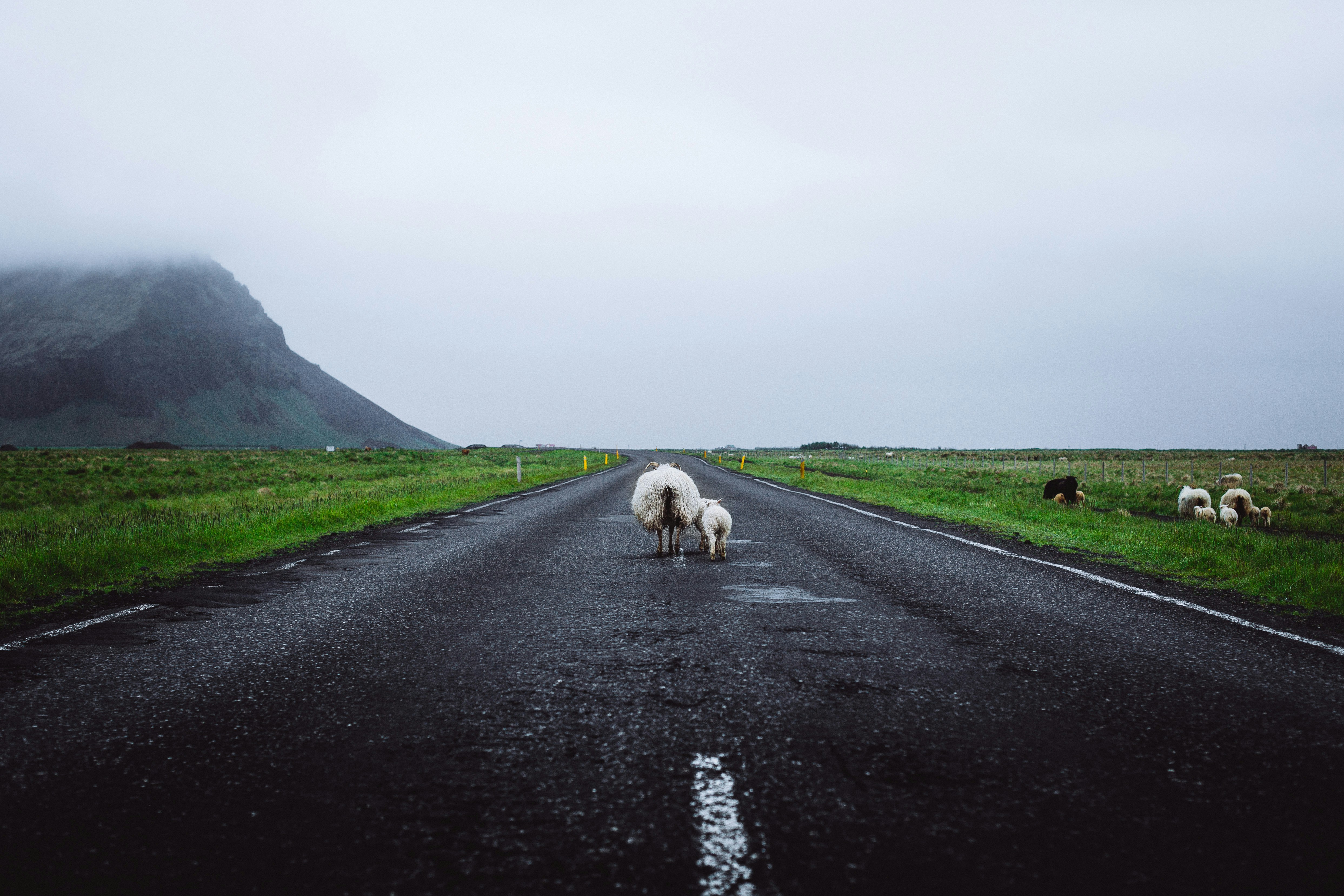 Photo by dnevozhai