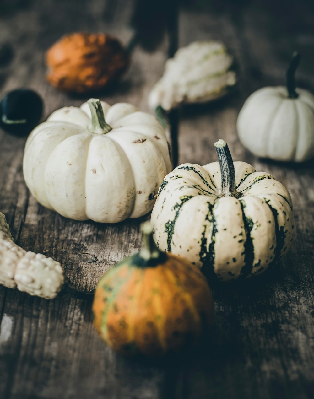 selective focus photography of white and orange pumpkins on gray wooden surface