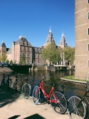 A scenic view of bicycles lined up in a park.