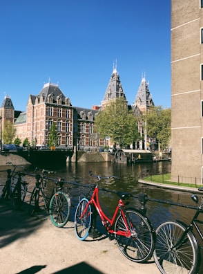 A scenic view of bicycles lined up in a park.