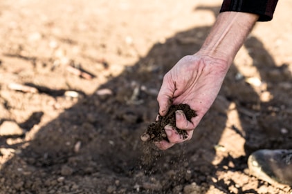 a person holding dirt in their hands
