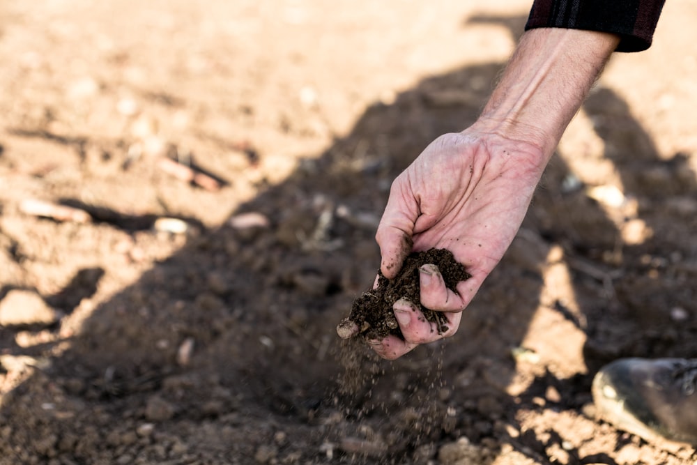 a person holding dirt in their hands