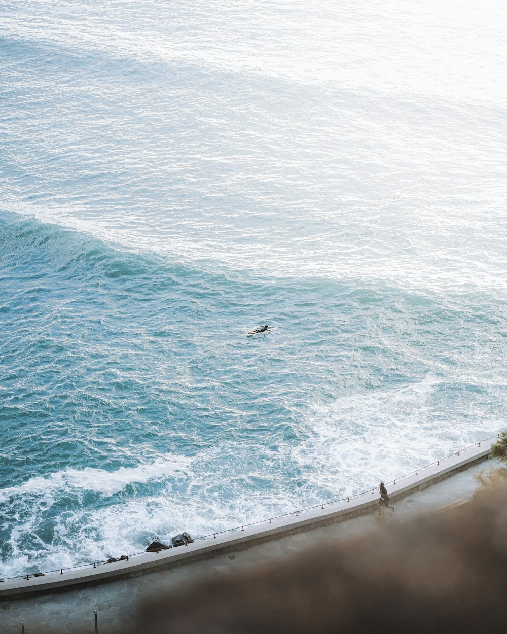 person swim on body of water