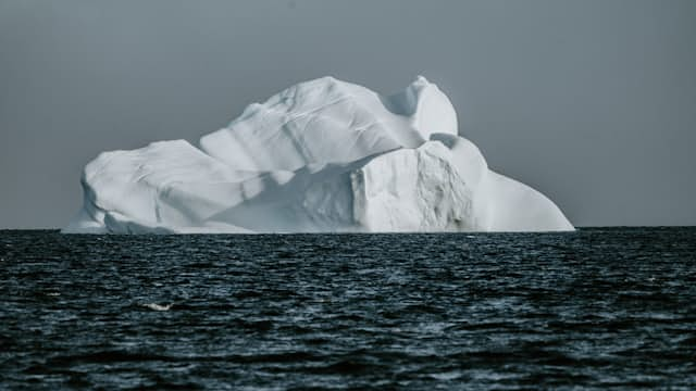 Iceberg