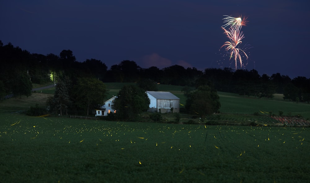 house near trees under fireworks