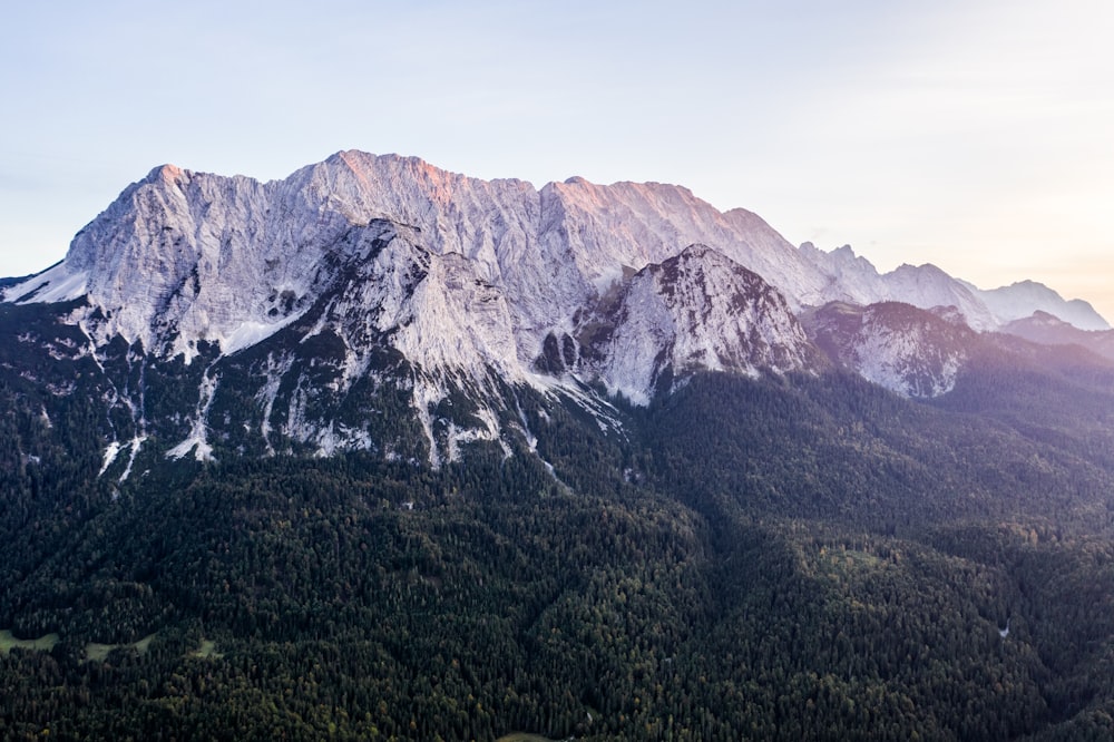 mountain surrounded with trees