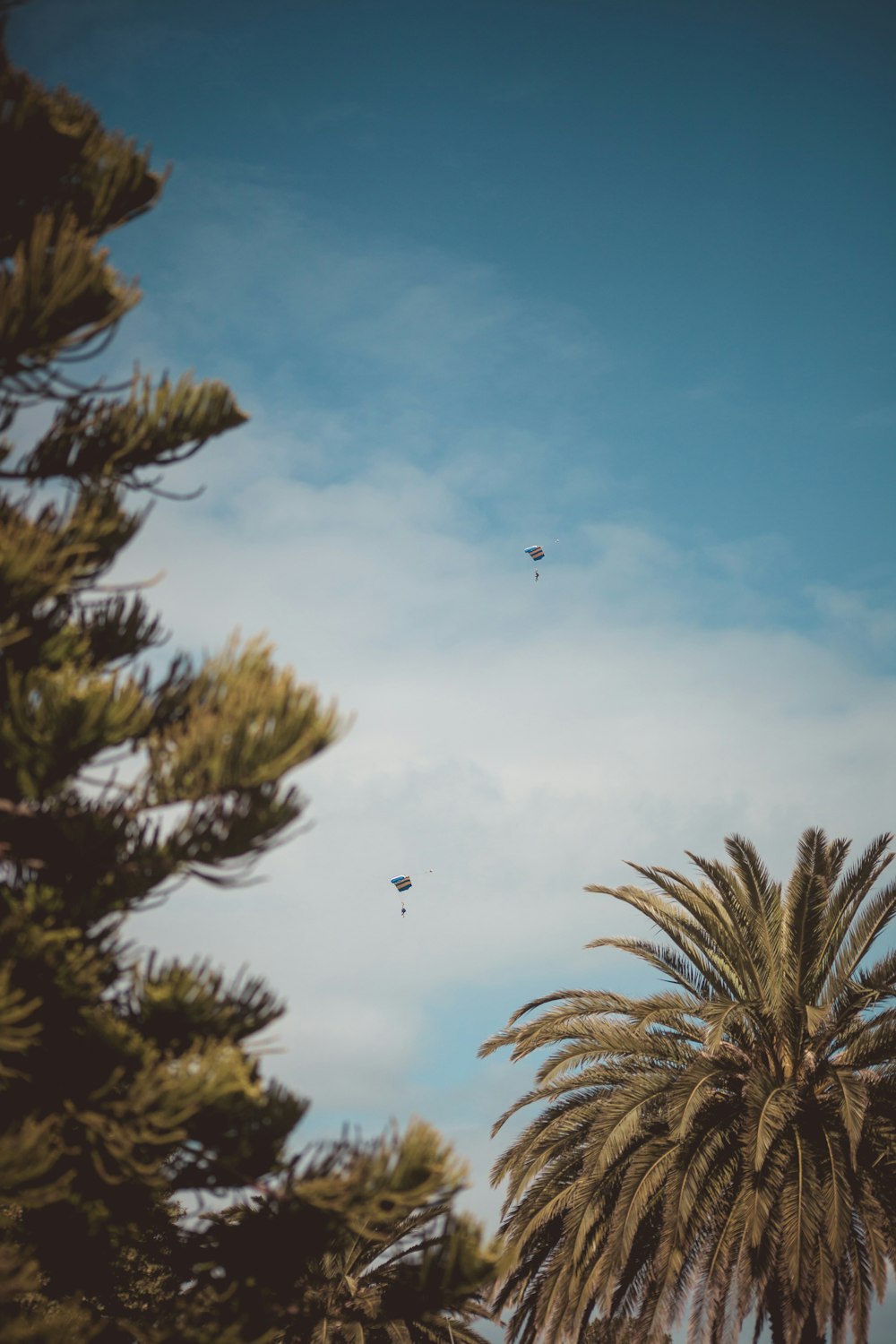 two kites flying on blue sky